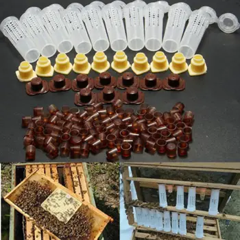 100ks Včely Nástroje Klece Královna Chovu Cupkit plastové Včelí Buňky Šálky Pěstování Box Mobilní Šálky Včelí Klec Včelařství Nástroj Kit
