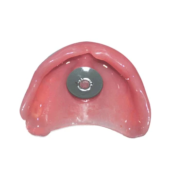 1Set Zubní Laboratoř Zubní Sucker zubní Protézy Desky Retence Pro Plný Horní zubní Protéza nebo Akrylové Částečné zubní Protézy