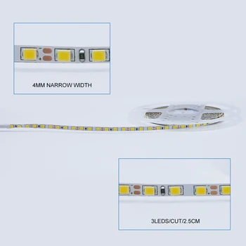 4 mm Šířka Úzká DC12V LED Strip 2835 120led/m 5m IP20 Ne vodotěsný Flexibilní Proužek Světla bílá,Teplá Bílá,Modrá,Zelená,Červená