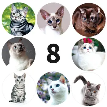 500pcs/roll 8 druhů roztomilé kočky zvířat samolepky mohou být použity pro děti je odměna, dar, box a dekorace pokoje