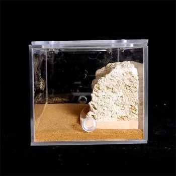 Bionic Akrylátové A Sádrokartonové Ant Hnízdo Bydlení Ant Farm Formicarium Pro Mravenčí Kolonie