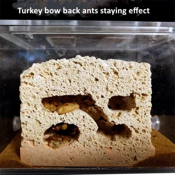 Bionic Akrylátové A Sádrokartonové Ant Hnízdo Bydlení Ant Farm Formicarium Pro Mravenčí Kolonie