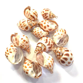 Boho Conch Shell Půvaby Moře Pláž Přírodní Shell Přívěsky Pro Ženy, druh měkkýše v Létě Výrobu Šperků DIY Náušnice Náhrdelník 10ks
