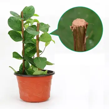 Bonsai Prořezávání Řezání Vložit Prořezávání Stromů Sealer Prořezávání Sloučenina Pro Zahradní Rostliny Roubování A Ošetření Rány Home & Garden