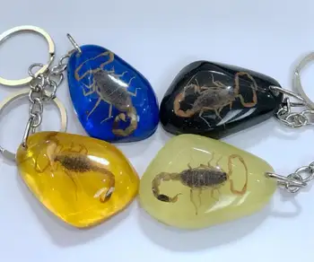 Doprava zdarma yqtdmy 12 ks módní zlaté scorpion tvar cool design keychain