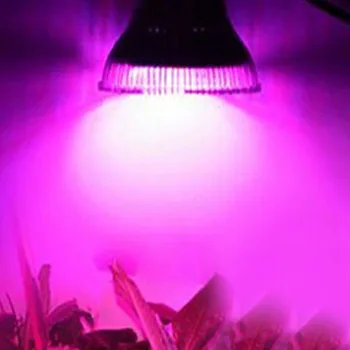 Full Spectrum LED Světla Rostou 18W E14 /E27/GU10 Reflektor Žárovky Květ Rostlin Skleníkových Hydroponie Systém 110V 220V Grow Box