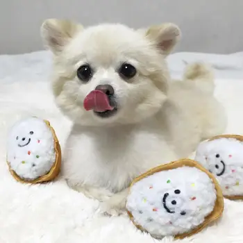 In Výbušné Korejské Rýžové Kuličky Sushi Jedné Krabici Tři Pack Zábava Znějící Pes Hračku Pet Znějící Tibetské Jídlo