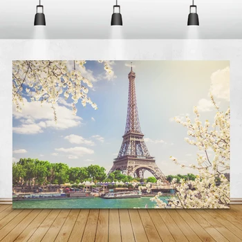 Laeacco Slavný Orientační Bod Paříž Eiffelova Věž Květiny Dítě Narozeniny Fotografie Pozadí Foto Pozadí Photocall Photo Studio