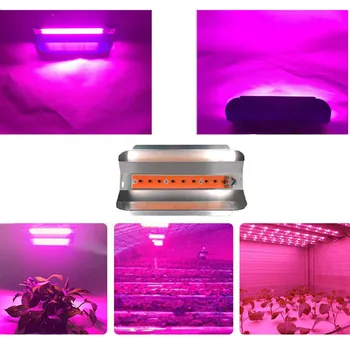 LED COB lodin wolframu Spectrum LED rostou růžové 380-840nm 100W 50W AC 220V 110V led IC rostlinné světla fllood lehké Zeleninové plán