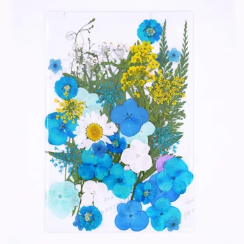 Lisované Květy malé Sušené Květiny Scrapbooking suché DIY Zachovalé Květinová Výzdoba Domů Mini Smíšené okvětní Lístky