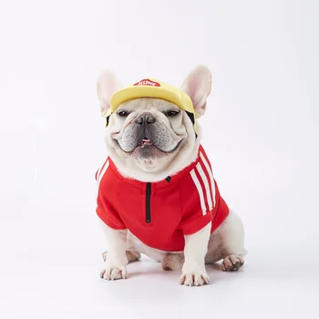 Mikiny s kapucí Pes oblečení pro malé psy, oblečení pro yt Mikina Oblečení pro psí kostým Bunda mops Pes oblečení Štěně svetr