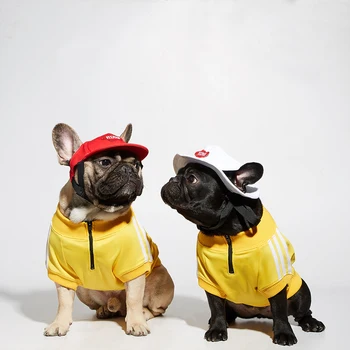 Mikiny s kapucí Pes oblečení pro malé psy, oblečení pro yt Mikina Oblečení pro psí kostým Bunda mops Pes oblečení Štěně svetr