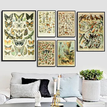 Motýl Ptáků Vintage Plakát a Tisky, Květiny, Houby Botanické Vzdělávací Otisky Plátna Wall Art Obraz, Fotografie