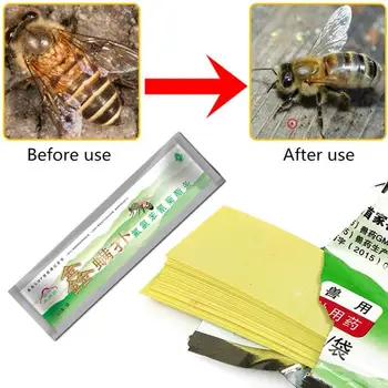 Profesionální Akaricid Proti Včelí Roztoč Pás Včelařství Medicíny Včelí Varroa Vrah & Control Včelařské Farmě Léky