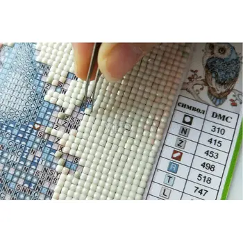 Vlk vzor Diamond Malování cross stitch Fantasy indické ženy DIY 5D Diamond Výšivky Cross Stitch Mozaika Obrázek Číslo