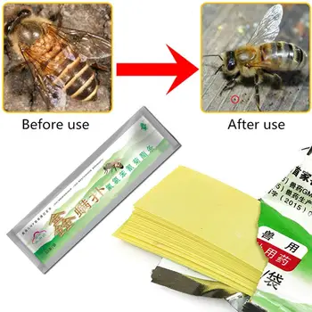 Včelařství Akaricid Proti Včelí Roztoč Pás Včelařství Medicíny Včelí Roztoči Instant Killer Ovládání Včelařské Farmě Léky